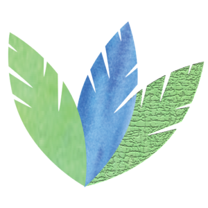 Three Feathers Clipart Illustration for Social Media Post or Logo Design