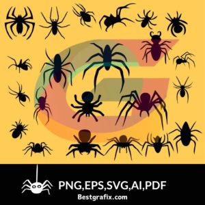 Spider Clipart